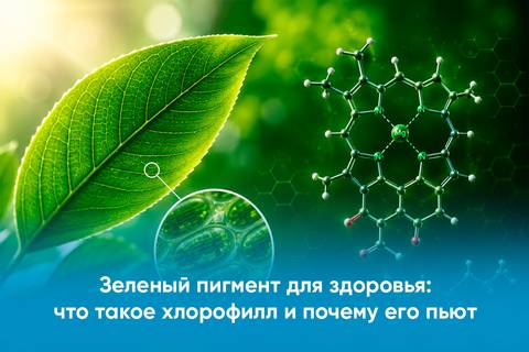 Зеленый пигмент для здоровья: что такое хлорофилл и почему его пьют