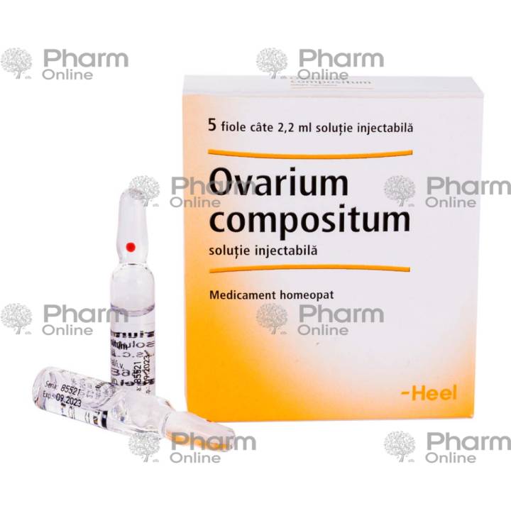 Ovarium compositum № 5 (Ampulalar) (Almaniya)