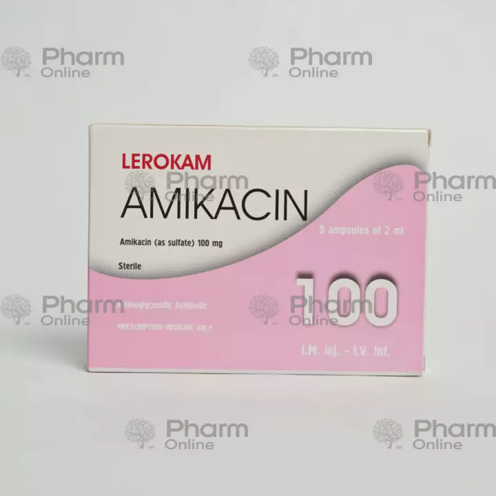 Lerocam 100 mg № 5  (Ampoules) (China)