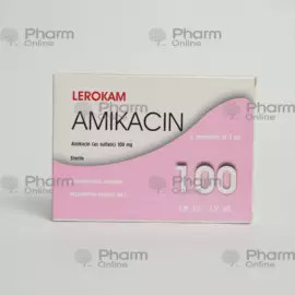 Lerocam 100 mg № 5  (Ampoules) (China)