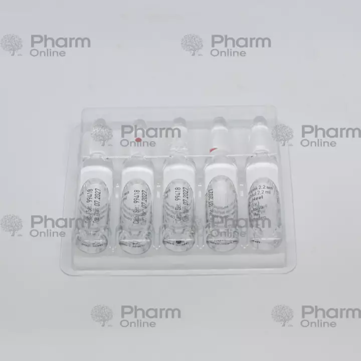 Gepar compositum No. 5 (Ampoules) (<>) (Germany)