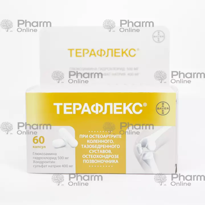 Theraflex No. 60 (Capsules) (Bayer Sagmel) (USA)